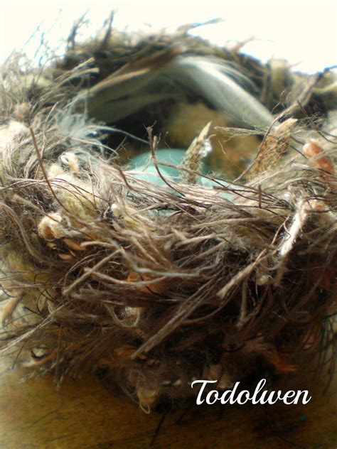 Todolwen Felted Nest Tutorial And A New Wee Bird