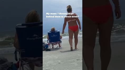 Couple Sits Right In Front Of Beach Goers On Empty Beach FunnyVideos Shorts YouTube