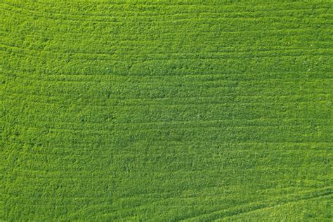 An Aerial View Of A Green Grass Field Photo Free Pattern Image On