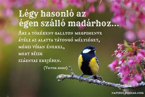Tatabánya magyarország legboldogabb városa, salgótarján a sor végén kullog a megyeszékhelyek boldogságszint rangsorában a boldogság világnapja alkalmából szerdán közzétett kutatás szerint. Légy hasonló az égen szálló madárhoz… | | Napi Boldogság