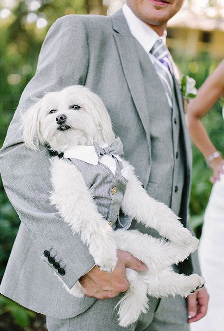 Real Weddings Wedding Pets Dog Clothes Dog Wedding
