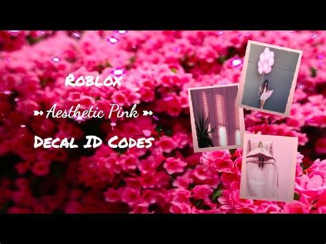 Roblox Aesthetic Pink Decal Id Codes Doovi