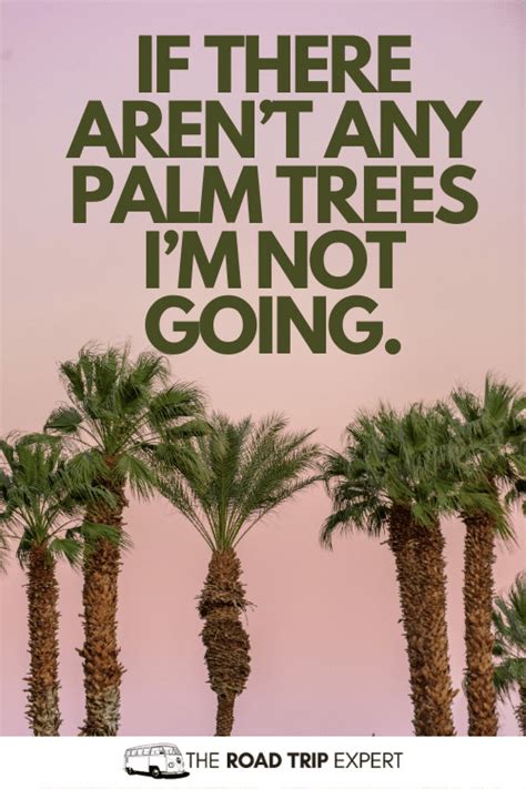 100 Brilliant Palm Tree Captions And Quotes For Instagram