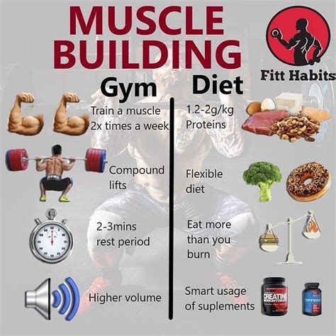 If You Want To Build Lean Muscle Mass What You Eat Is Paramount To Your
