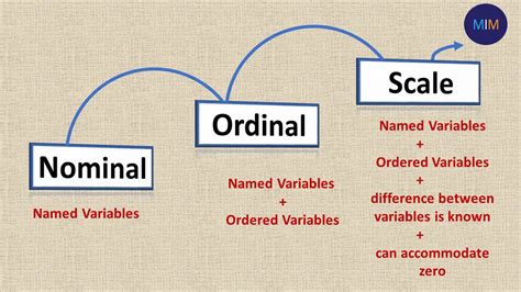 Measurement Of Scale Examples Ppt Mim Learnovate