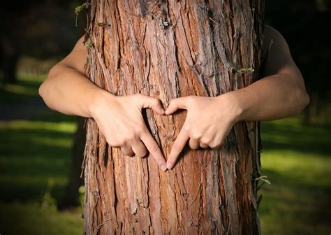 Be A Tree Hugger Tree Lover Tree Hugger Improve Health