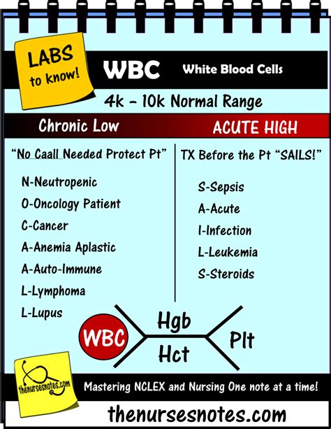 Cbc Complete Blood Count Wbc Platelets Hgb Hct Bmp Chem7 Fishbone