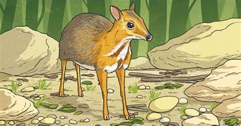 Contoh surat permohonan hewan qurban have an image from the other.contoh surat permohonan hewan qurban it also will include a picture of a kind that might be seen in the gallery of contoh surat permohonan hewan qurban. Surat Permohonan Permintaan Hewan Rusa - Pemkab Purworejo ...