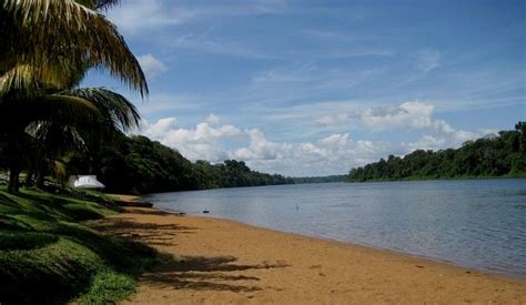 Suriname Suriname Beach Доступ к нашему блогу гораздо больше информации