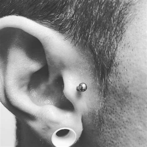 Tragus Piercing 20 Ideas Pain Level Healing Cost Experience