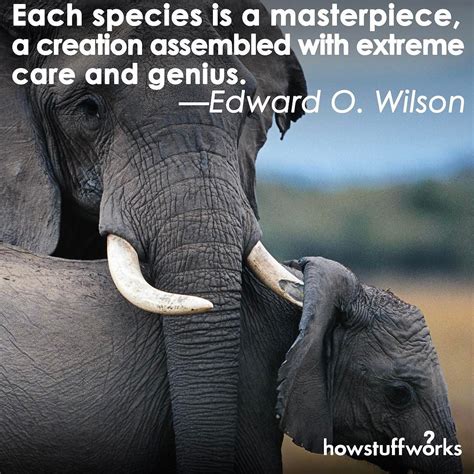 March 3 Is World Wildlife Day Animal Lover Quotes Wildlife Quotes