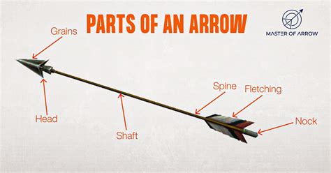 How To Choose An Arrow A Complete Guide Master Of Arrow