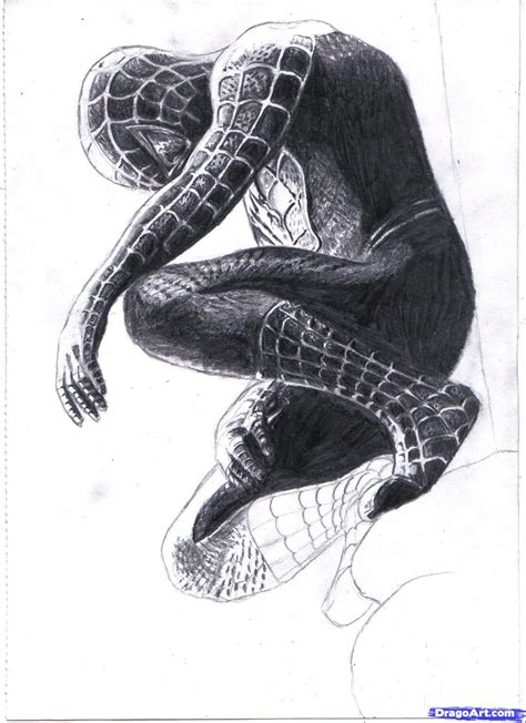 Spiderman Pencil Sketch At Explore Collection Of