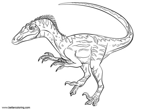 Jurassic World Fallen Kingdom Coloring Pages How To Draw Velociraptor Free Printable Coloring