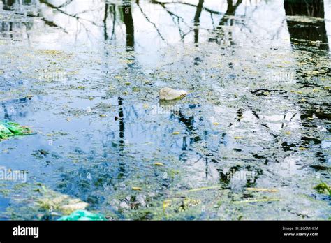 A Disposable Plastic Bottle Was Thrown Into The River Pollution Of