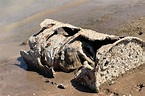 Fourth set of human remains found in Lake Mead as water levels hit ...