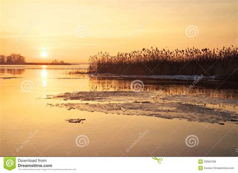 Winter Landscape With River Reeds And Sunset Sky Stock Photo Image
