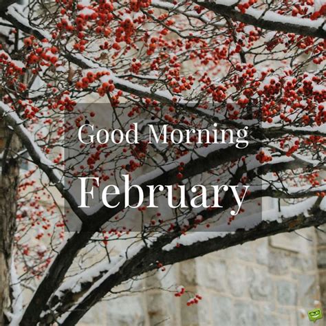 Good Morning February Love Is In The Air Good Morning Quotes