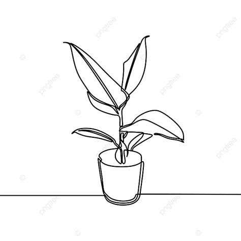 Plant Pot Drawing Vector Hd Images Plant On The Pot Continuous One
