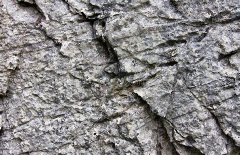 Weathered Stone Texture Stock Photo Image Of Smooth 15523606