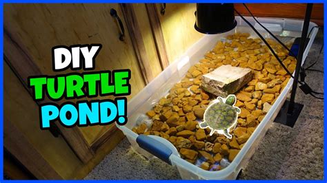 Cheap Diy Turtle Pond Setup Youtube