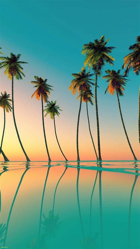 Neon Palm Tree Wallpapers Top Free Neon Palm Tree Backgrounds