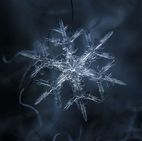 Amazing Close Up Photos Of Snowflakes If Its Hip Its Here