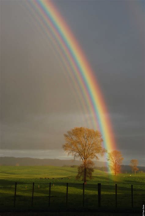 Rainbow Beautiful Rainbow 22875