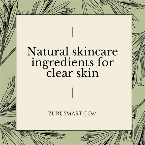 Natural Skincare Ingredients For Clear Skin Zurusmart