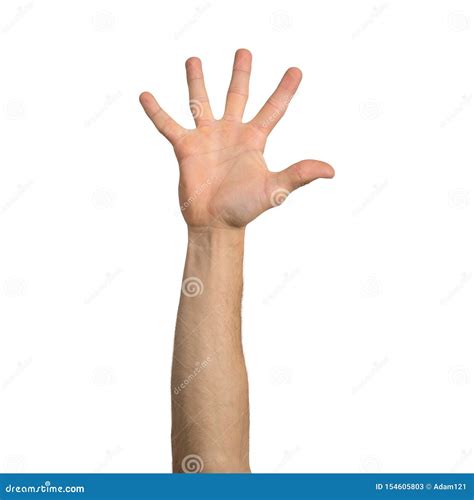Adult Man Hand Showing Spread Fingers Gesture Stock Image Image Of