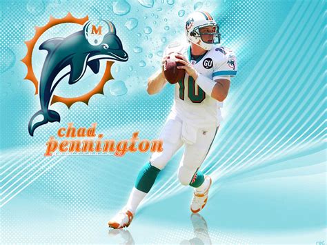 Miami Dolphin Wallpapers Wallpaper Cave