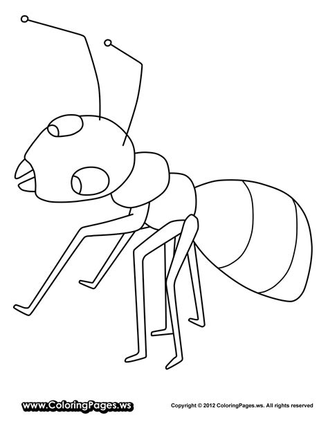 Mounds are rarely larger than 18″ in back to the top of the page does the worker who is spreading the bait have to be licensed or can he/she work under a licensed supervisor? Ant coloring pages to download and print for free