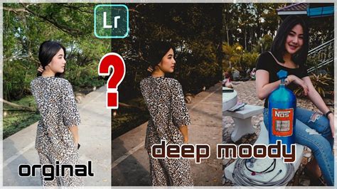 Download these free presets for better, more beautiful images. #Arjyou #light_room How To edit moody || deep moody ...