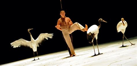 Le chorégraphe Luc Petton danse avec des grues Sciences et Avenir