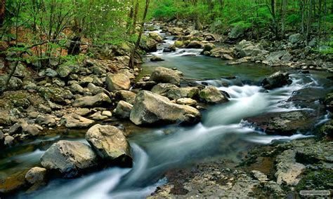 Kumpulan Foto Sungai Sungai Sejauh Air Mengalir 1280x768 Download