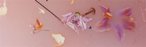 Add interesting content and earn coins. Harry Styles' Solo Debut Album: The Meaning Behind the ...