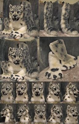 FINALLY Snow Leopard SOLD By Crystumes Fur Affinity Dot Net