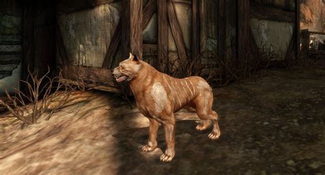 Dog Mabari War Hound Build Dragon Age Origins Dao