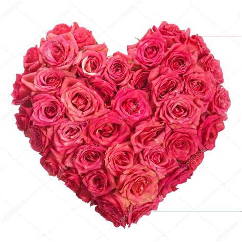 Rose Flowers Heart Over White Valentine Love Stock Photo By ©smaglov
