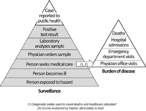 Pyramid Model Comparing Surveillance Left And Burden Of Disease