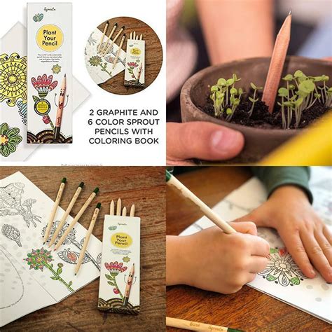Sprout Plantable Pencils Kids Edition In Natural Sustainable Wood