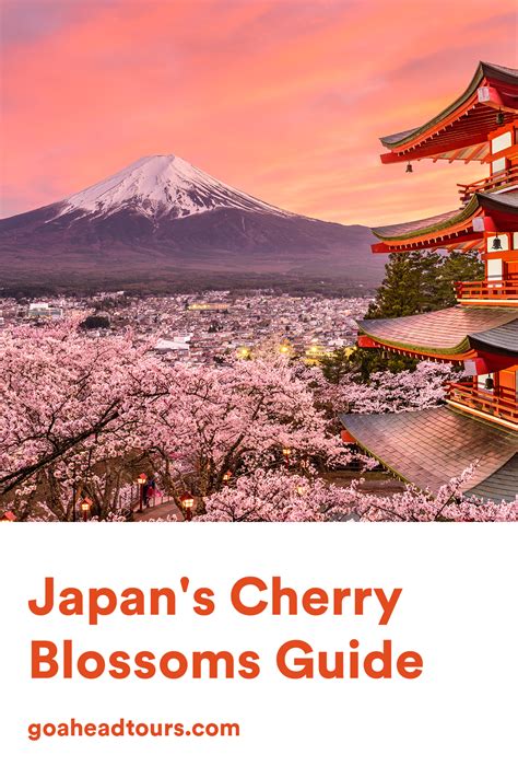 Japans Cherry Blossoms Ef Go Ahead Tours
