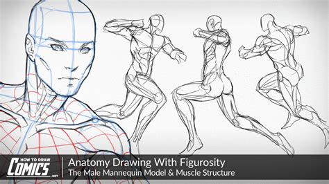 Once you start learning… eyes… the window into the soul as they say. Anatomy Drawing With Figurosity | The Male Mannequin Model