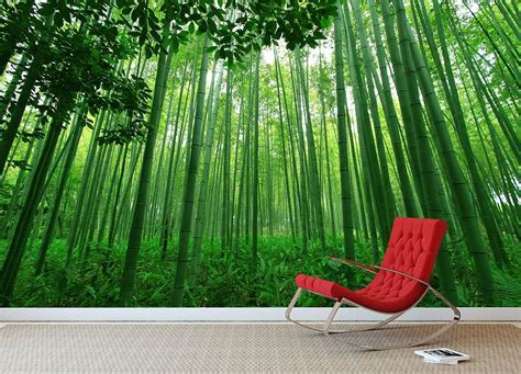 Green Bamboo Forest Wall Mural Wallpaper Canvas Art Rocks