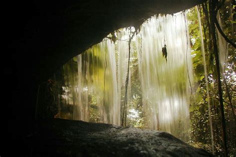 The Inside Of A Cave With Water Flowing From Its Walls And Trees In