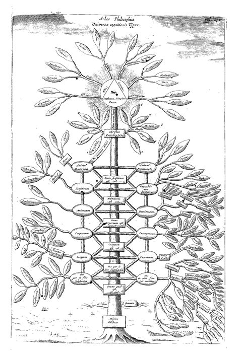 Philosophical Tree Athanasius Kircher At Stanford