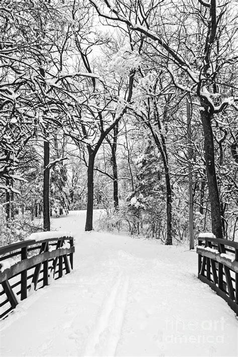 Snowy Walkway Photograph By Terri Morris Fine Art America