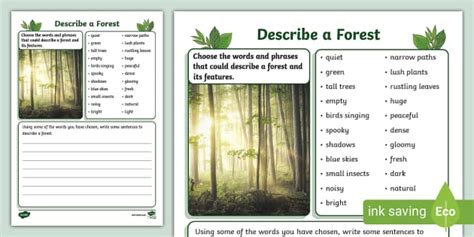 Describe A Forest Writing Activity Teacher Made Twinkl