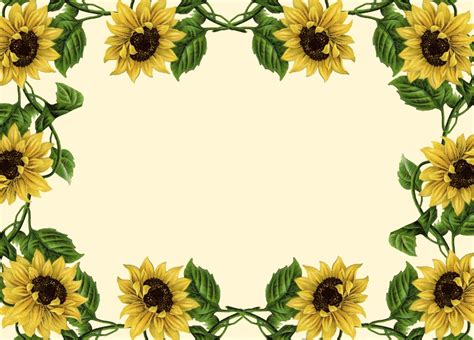 15 Cheery Sunflower Borders Kitty Baby Love