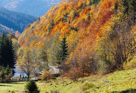 Autumn Carpathian Mountains Ukraine Stock Photo Containing Carpathians